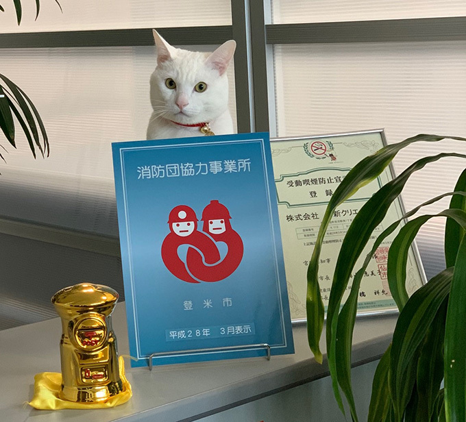 しお②